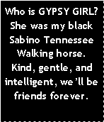 Text Box: Who is GYPSY GIRL?She was my black Sabino Tennessee Walking horse. Kind, gentle, and intelligent, well be friends forever.